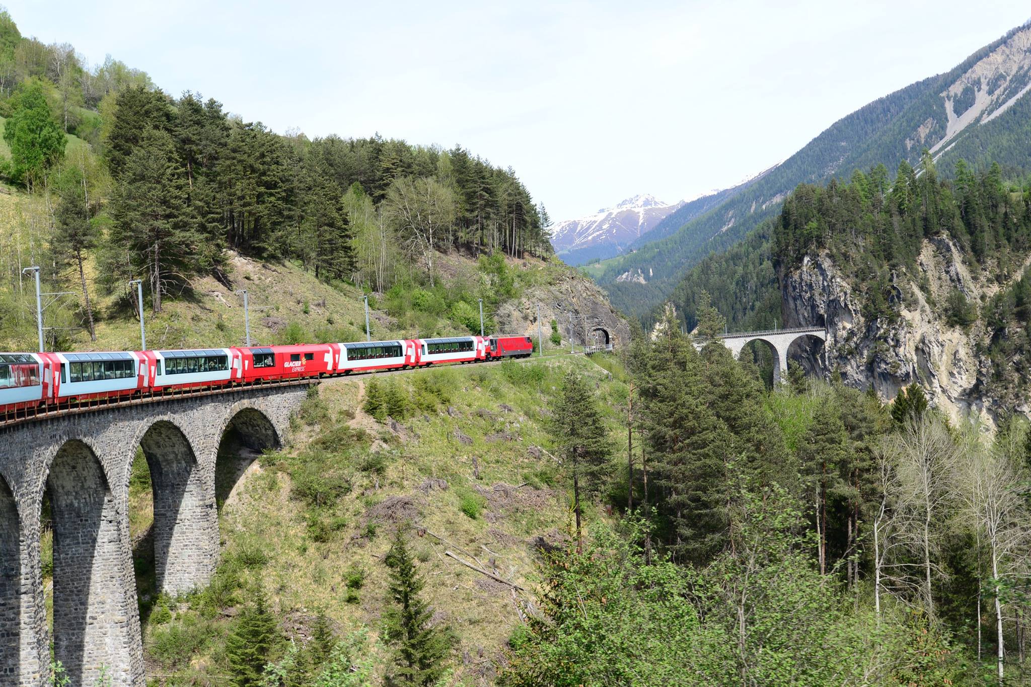 16402717_1730739420588382_289301230144150789_o