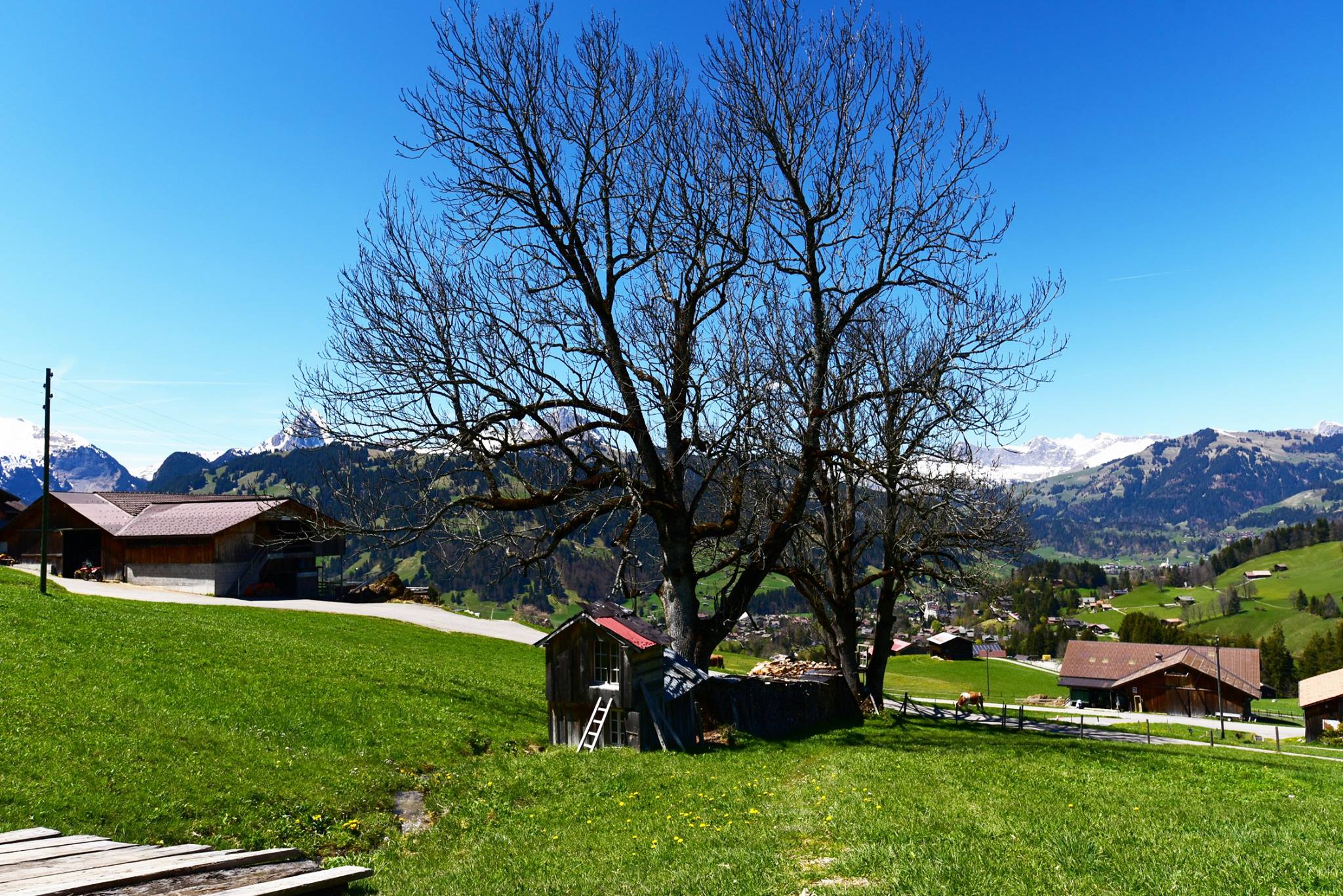 18491786_1790114871317503_1512714669503675770_o