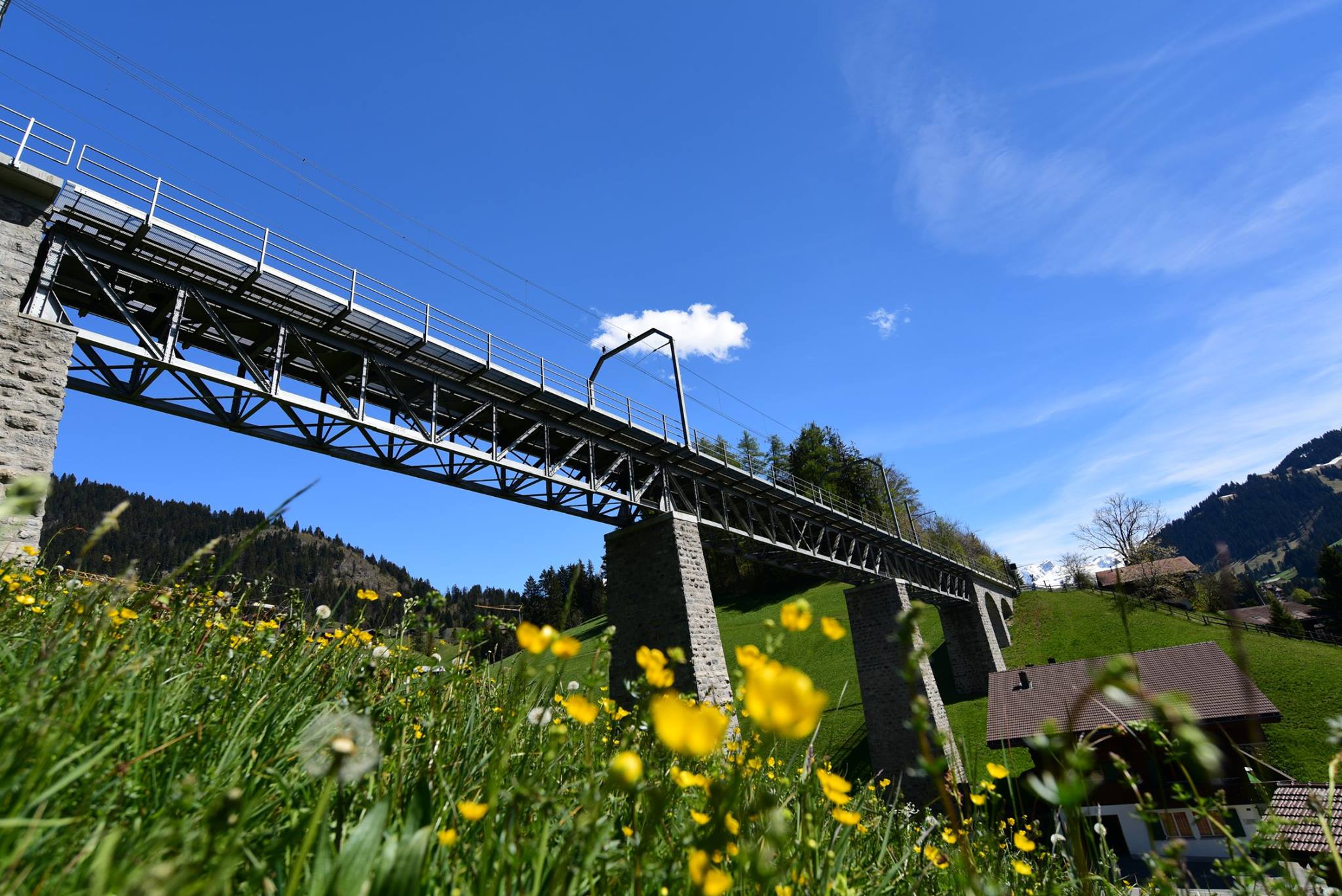 18558773_1790114897984167_7923768844870648631_o