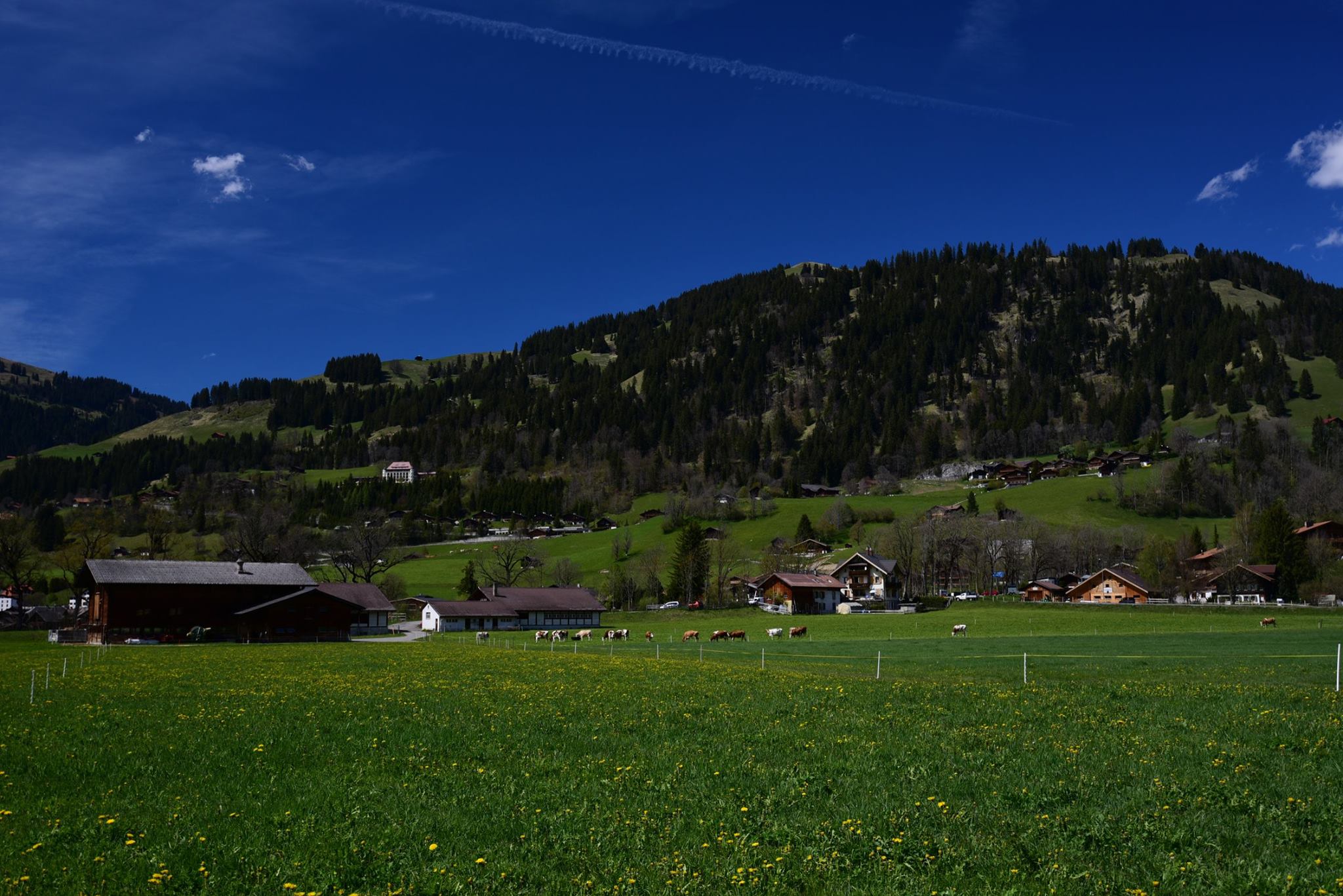 18558995_1790115064650817_5418539063514452724_o