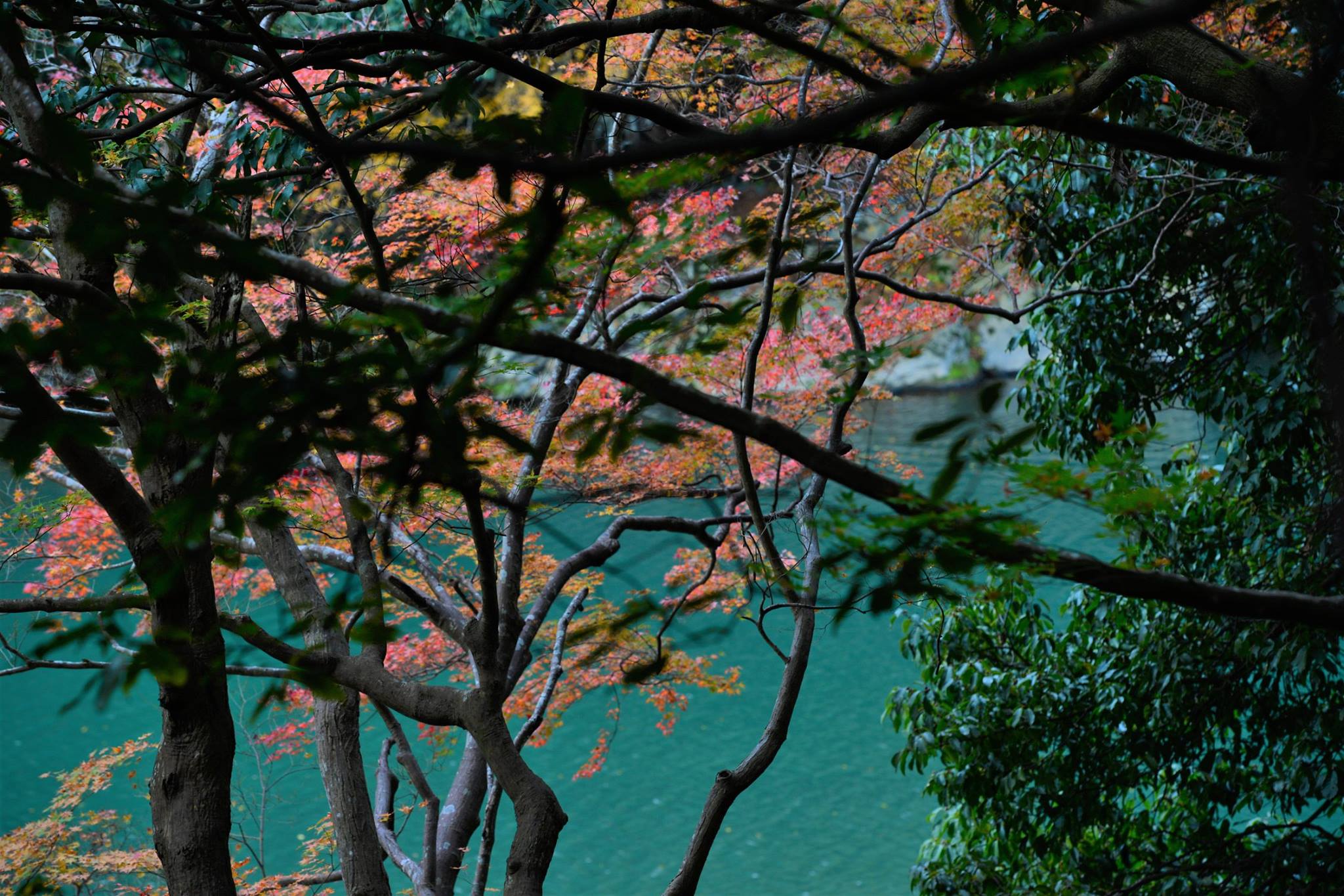 19477555_1813851552277168_311865727552911308_o