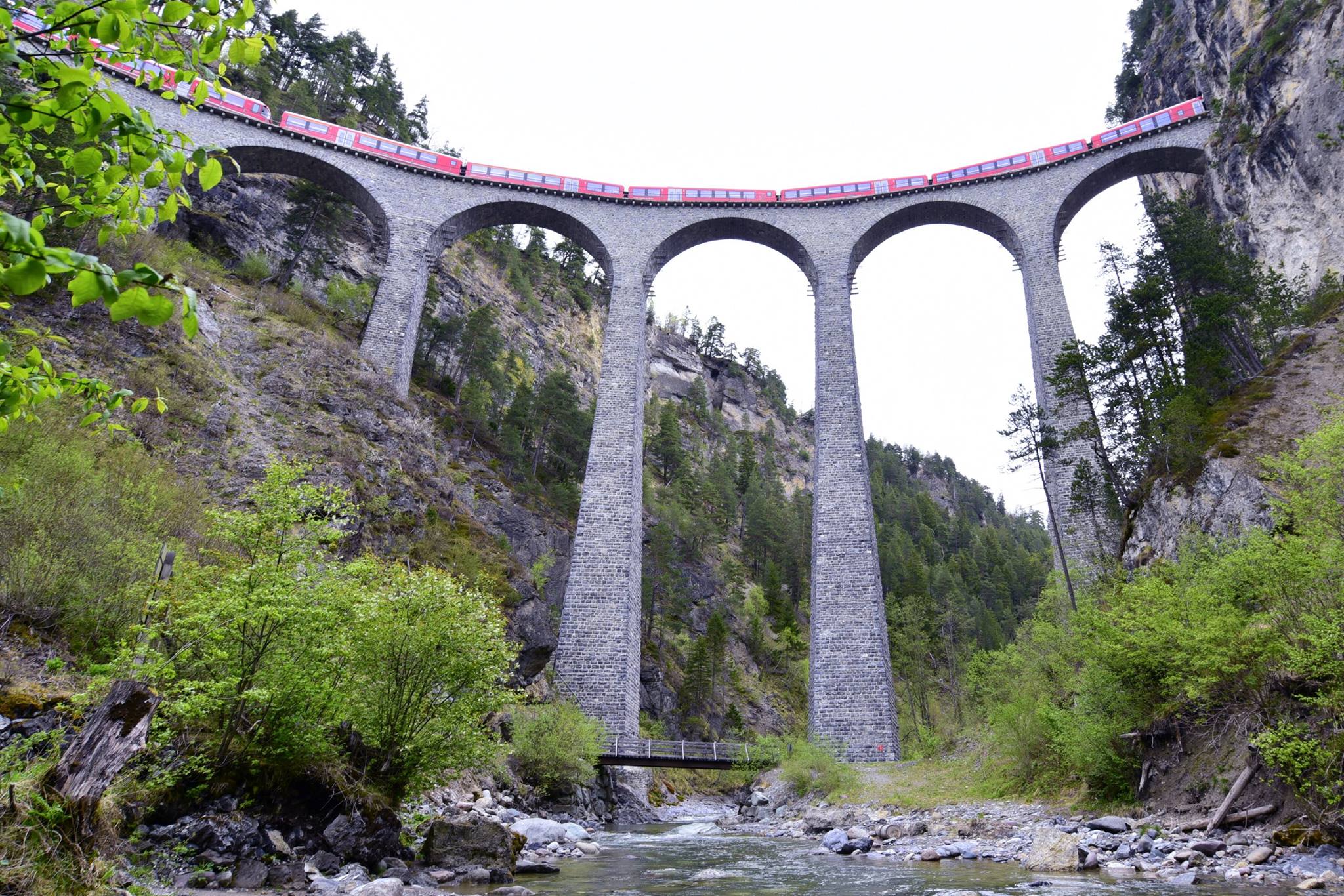 19693710_1818992975096359_3261191474211266351_o