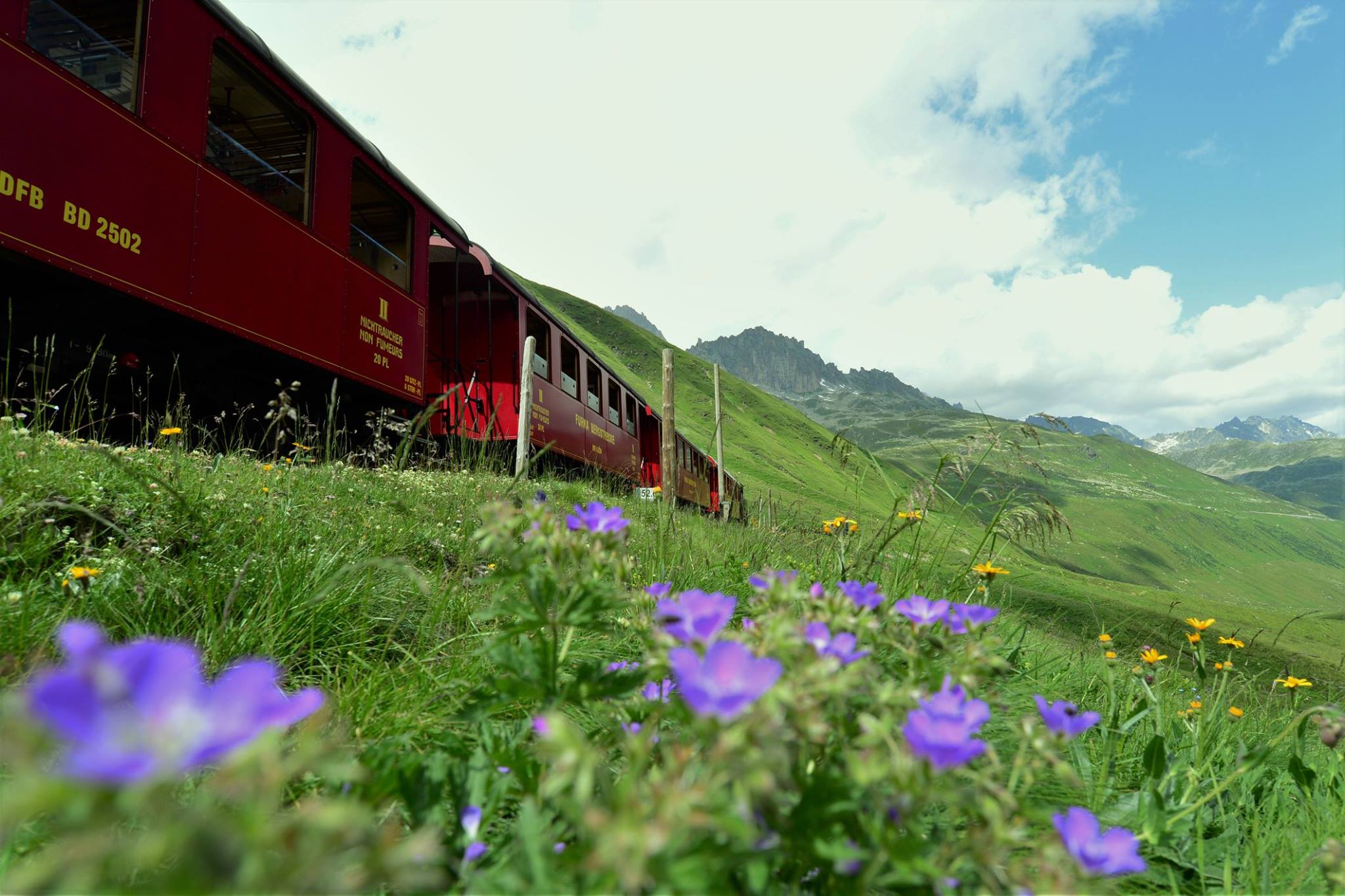 20232203_1827108017618188_5804530532997624090_o