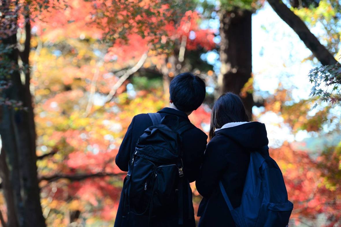 20232390_1828784837450506_5331265202913380469_o