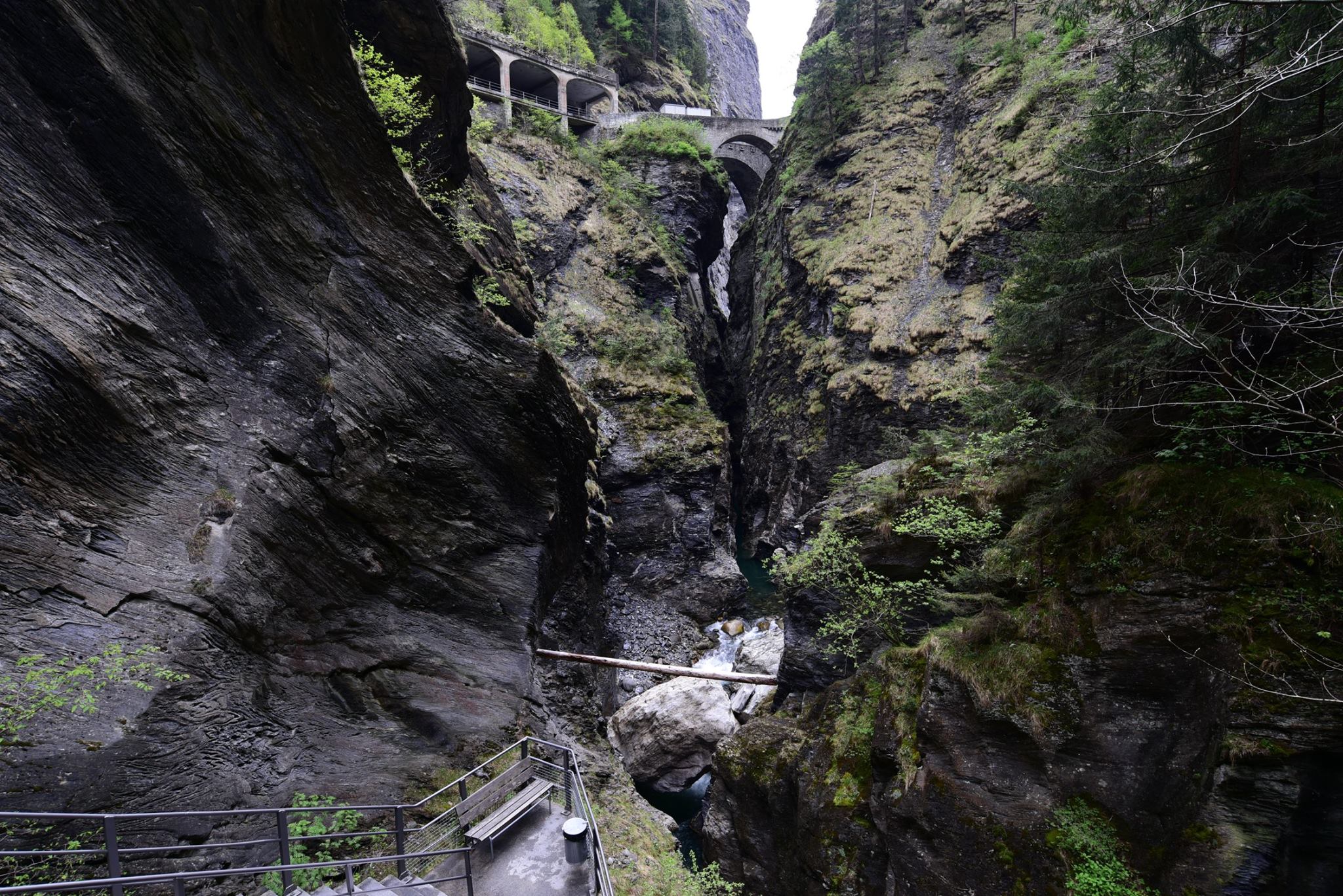 20368741_1832434323752224_8045681136540329132_o