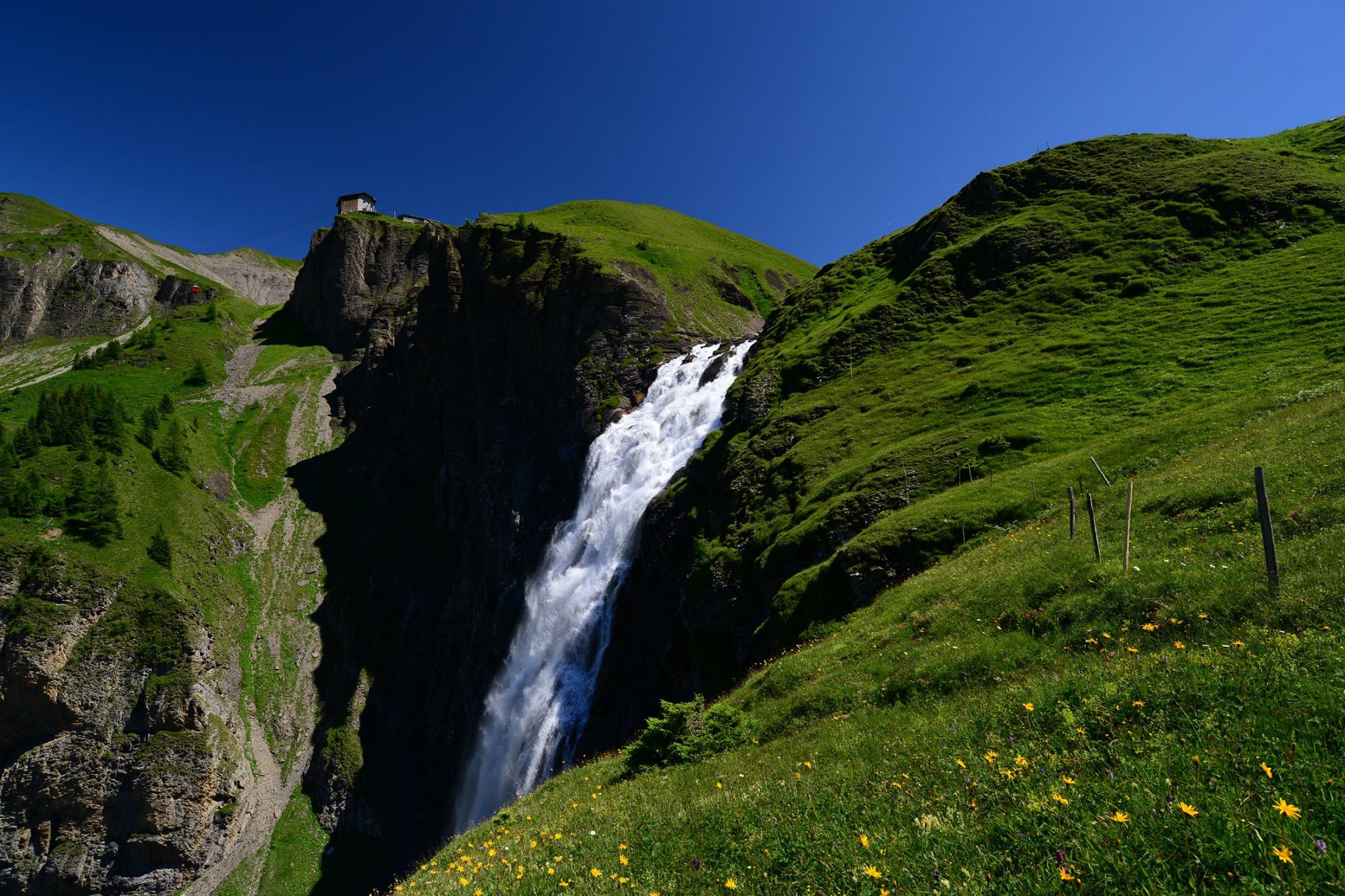 20413867_1832430367085953_7049828836912657616_o