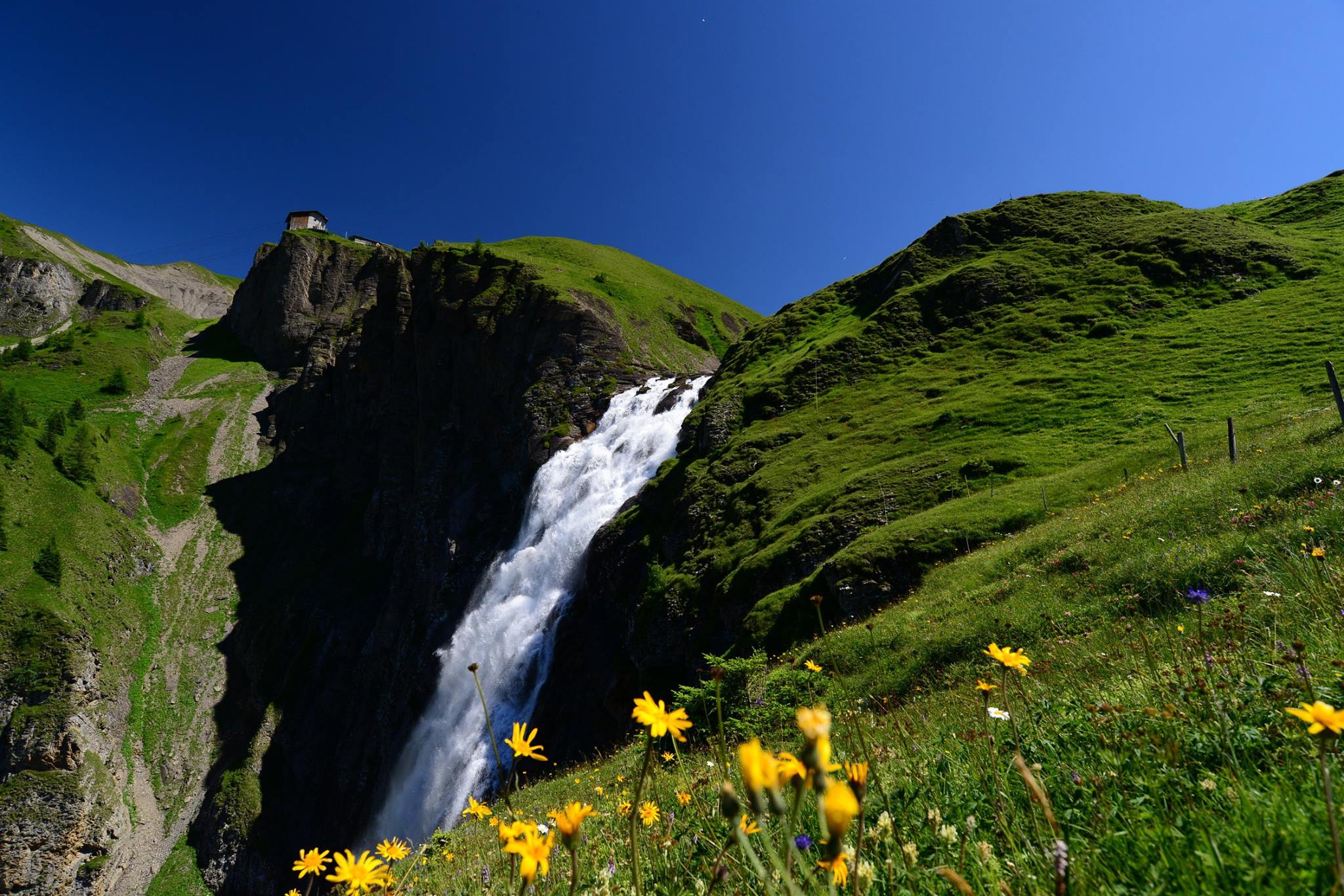 20423852_1832430427085947_3378265208144705278_o