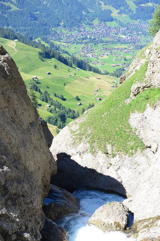 20431398_1832430533752603_4643323563784225889_n