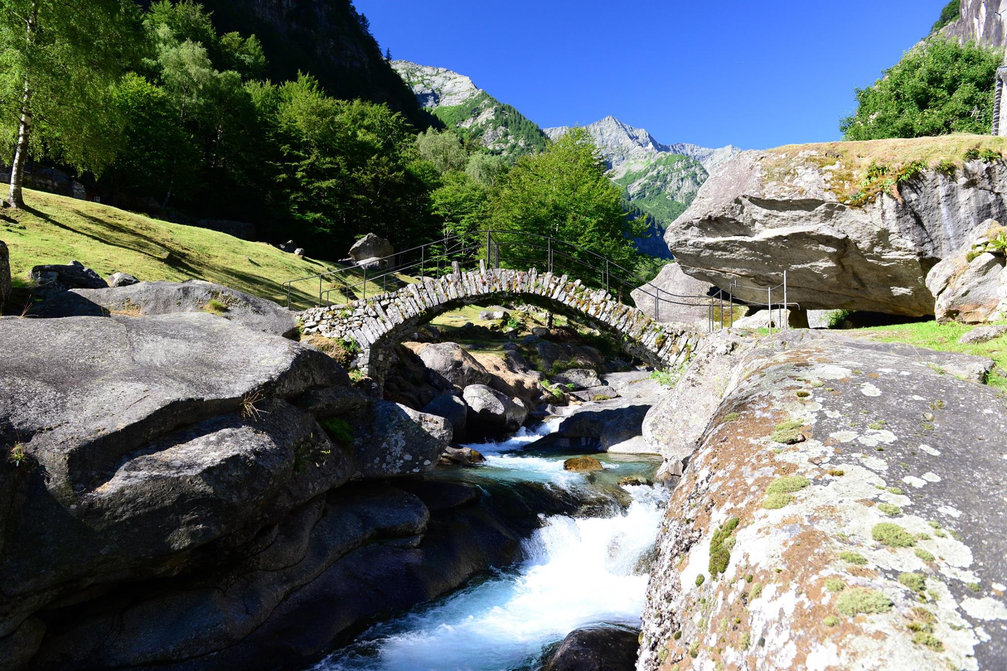 20451629_1832430070419316_6740013655653297062_o