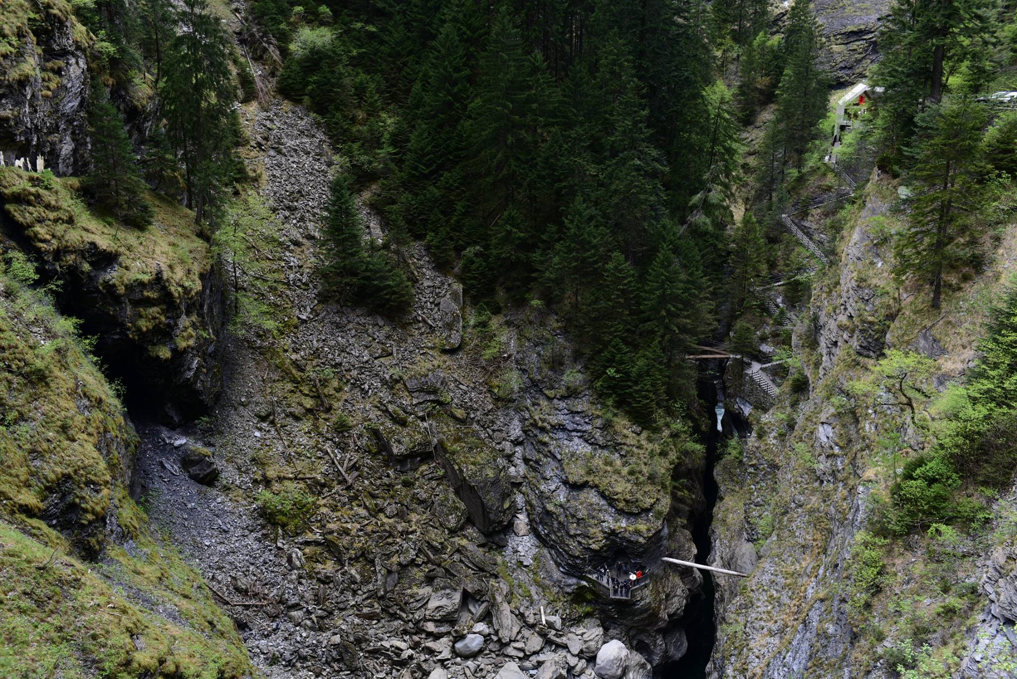 20451984_1832434363752220_7622833882314278310_o