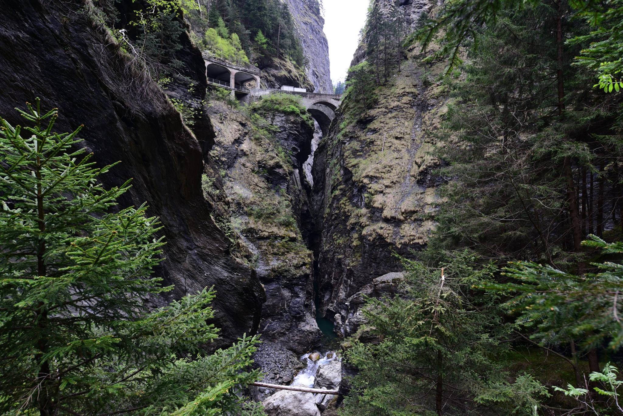 20507247_1832434310418892_8388749033180066376_o