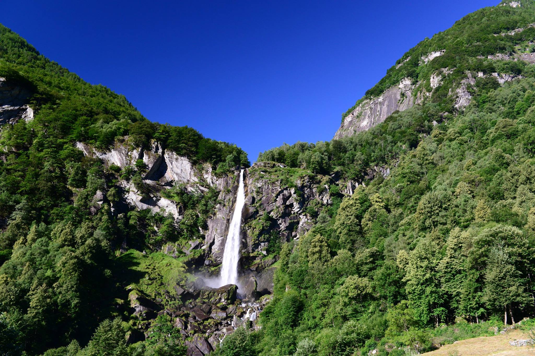 20507533_1832429923752664_7008242540180814274_o (1)