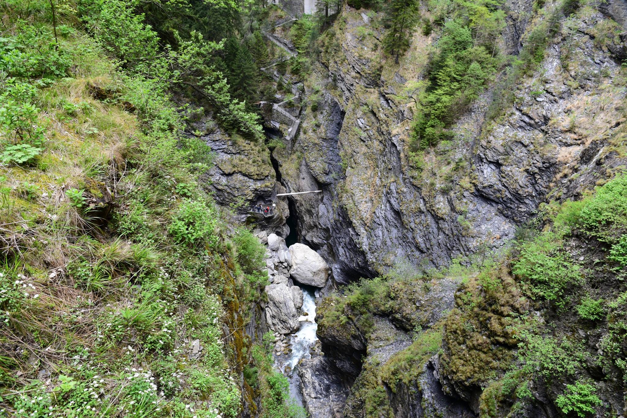 20544006_1832434407085549_5223285240213126159_o