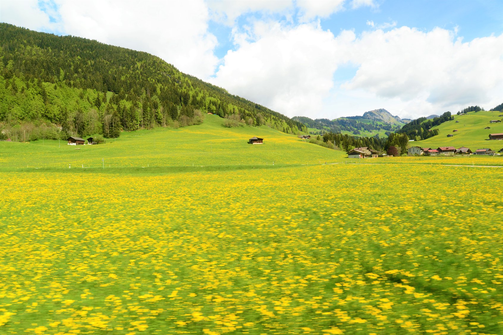 28071206_1930307963964859_6714410329287059925_o