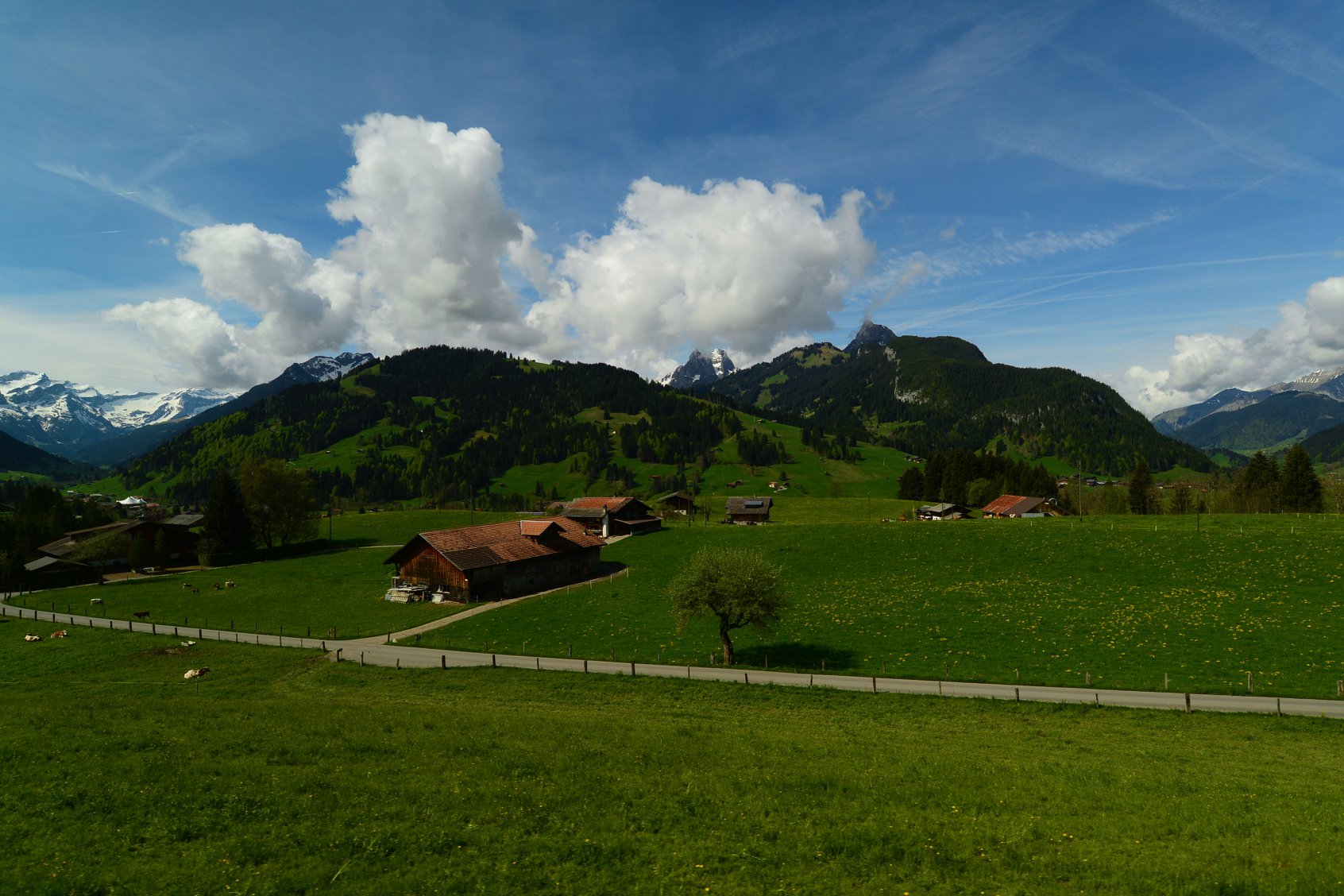 28162075_1930307923964863_3386901538255159106_o