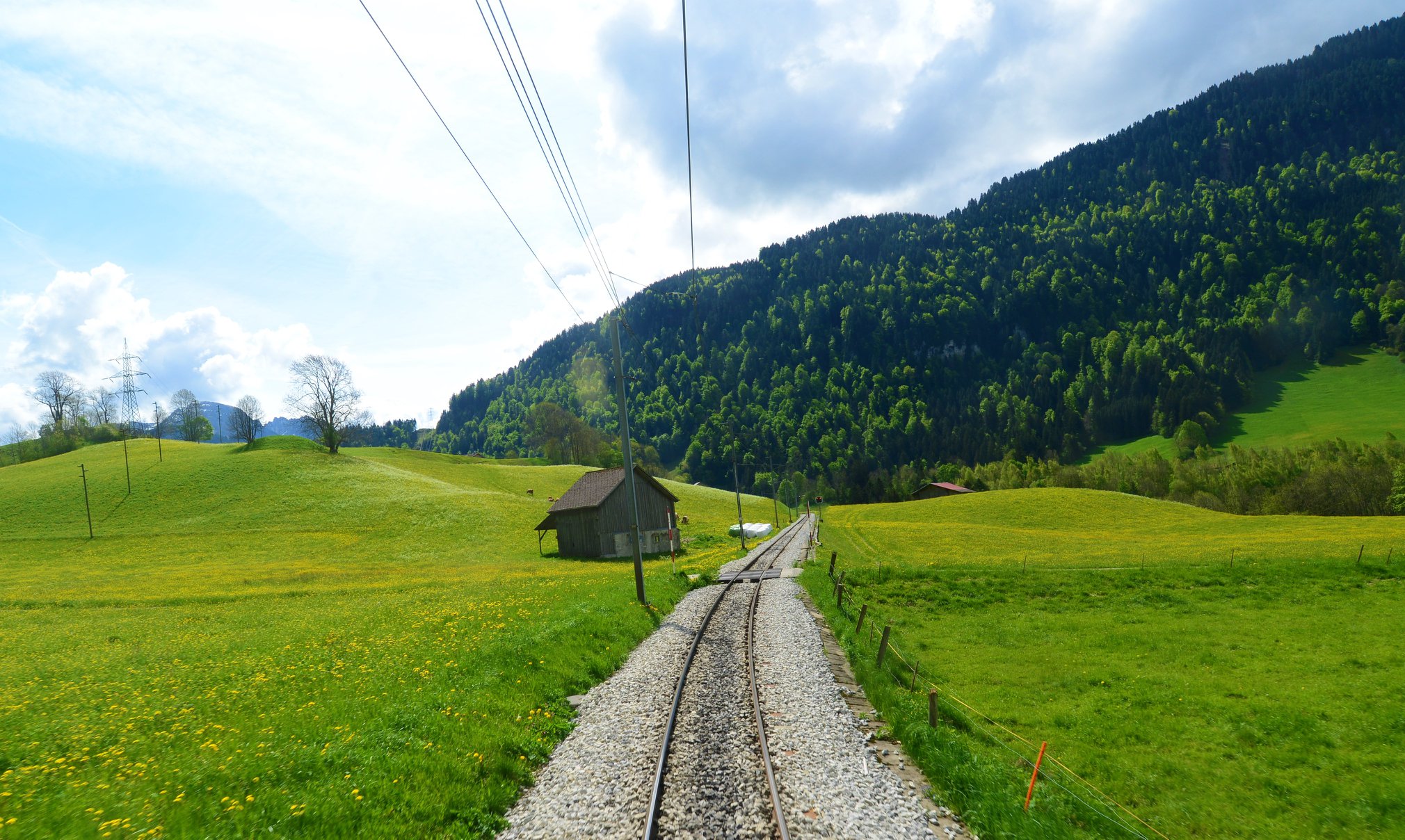 28336434_1930308047298184_8950138750201486462_o