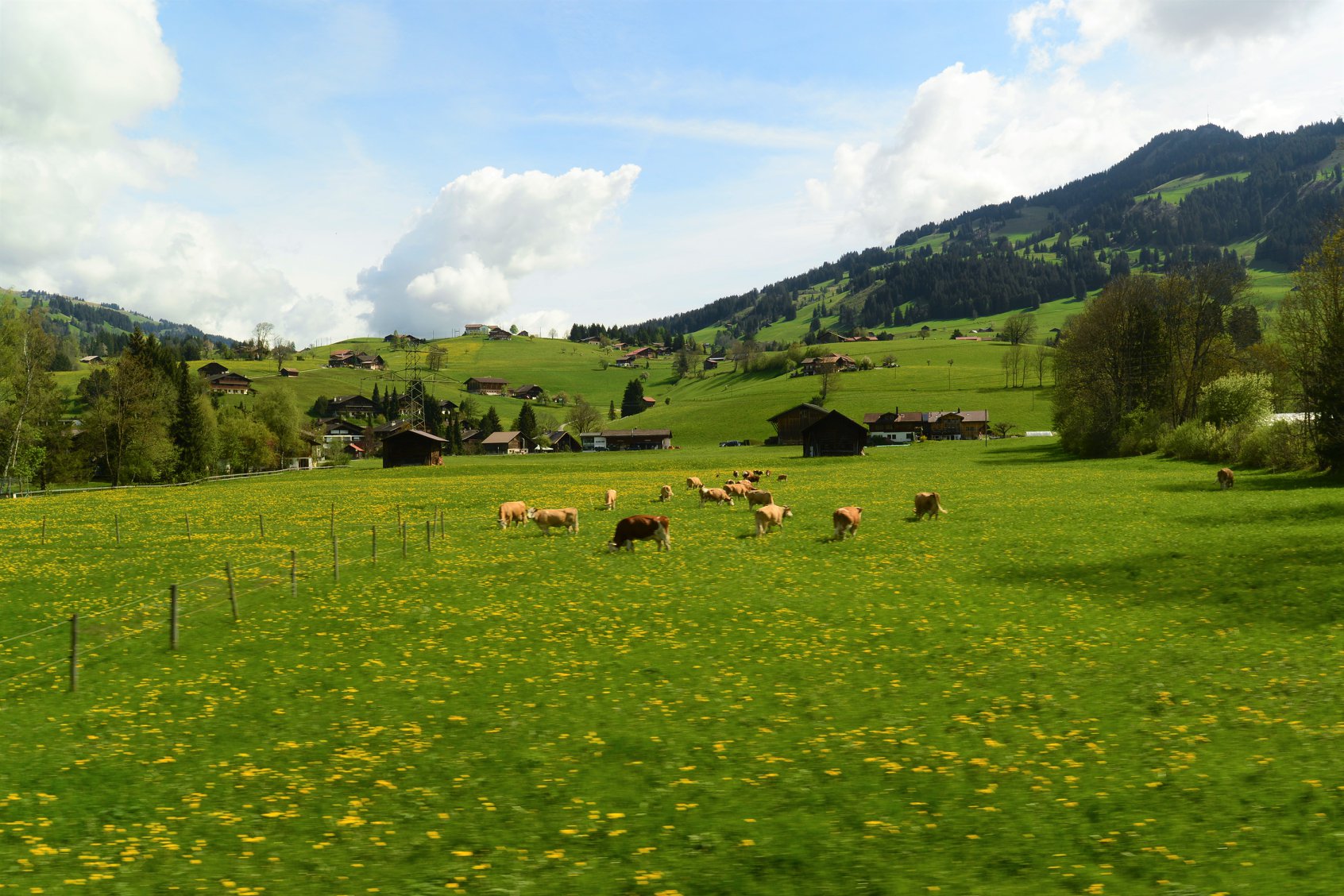 28336748_1930307943964861_642287471549381615_o