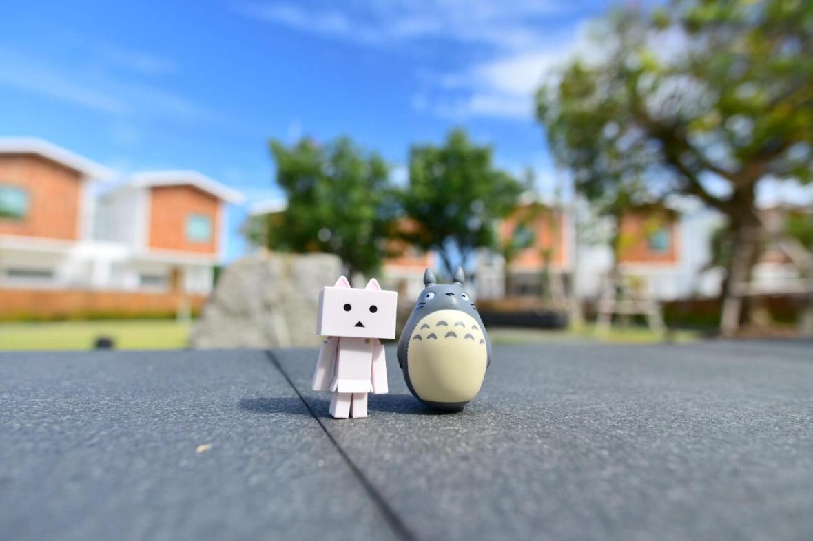 42058708_2083333525328968_4394242905246531584_o