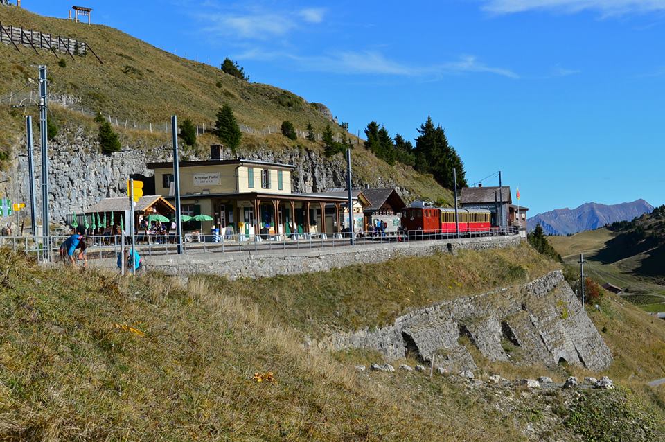 nwkyvp198Mv1HKNKpp9-o