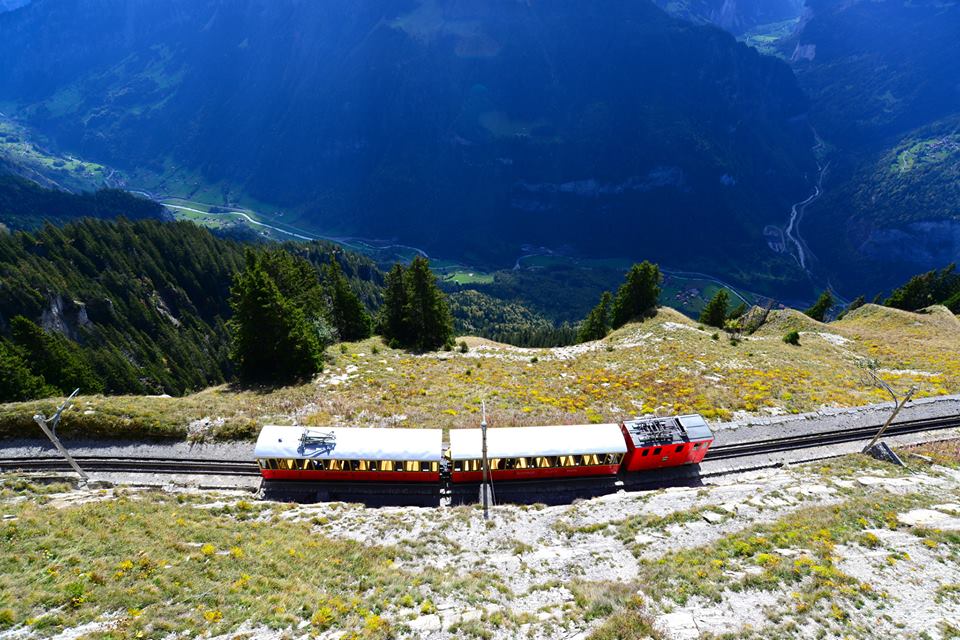 nwkyyl1v5sLKCC6nWom-o