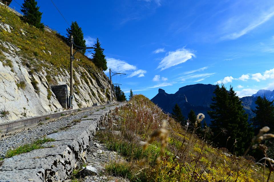 nwkyzgr42x60g4RYbsw-o