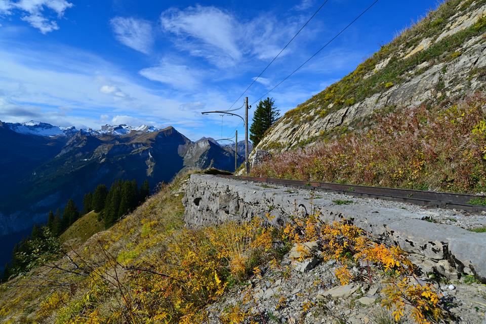 nwkyzx1kpmh7XI3iEtM-o