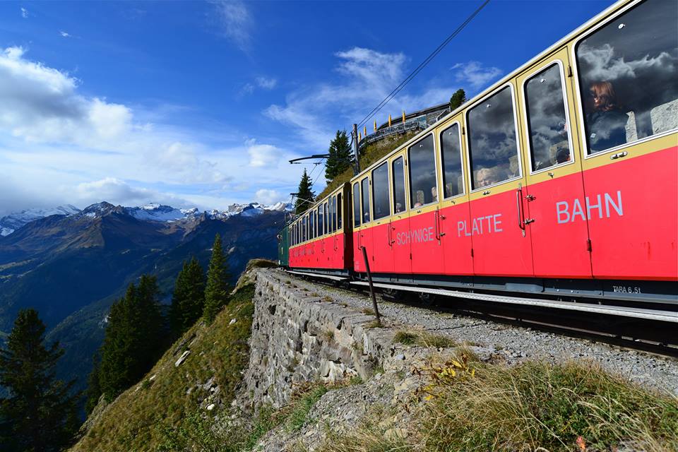 nwkz0jhuvqi3vGhFP94-o