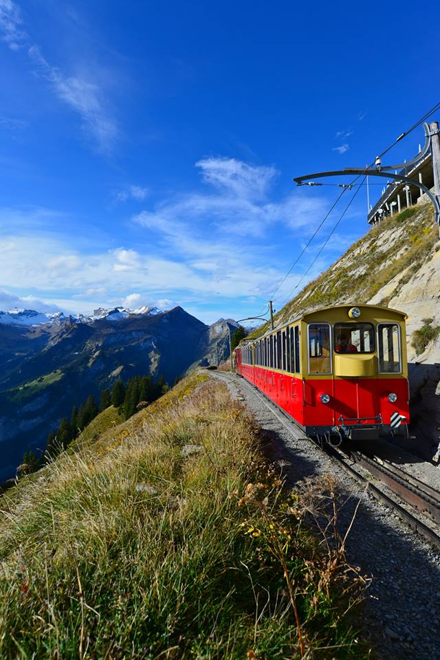 nwkz0xht9T99HT8V0Uq-o