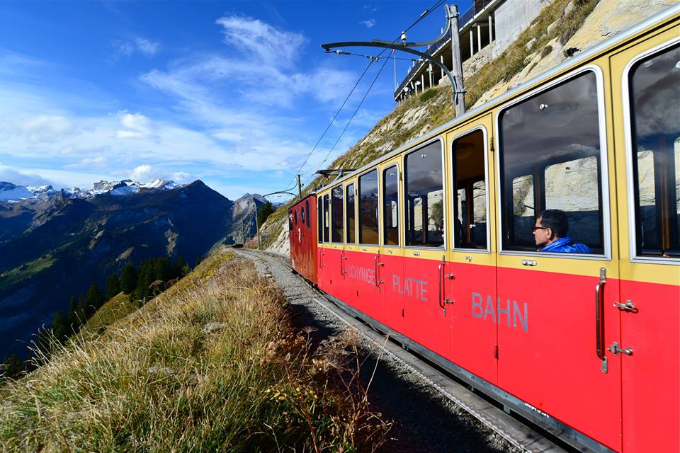 nwkz1tk2gIQW3qlr8op-o