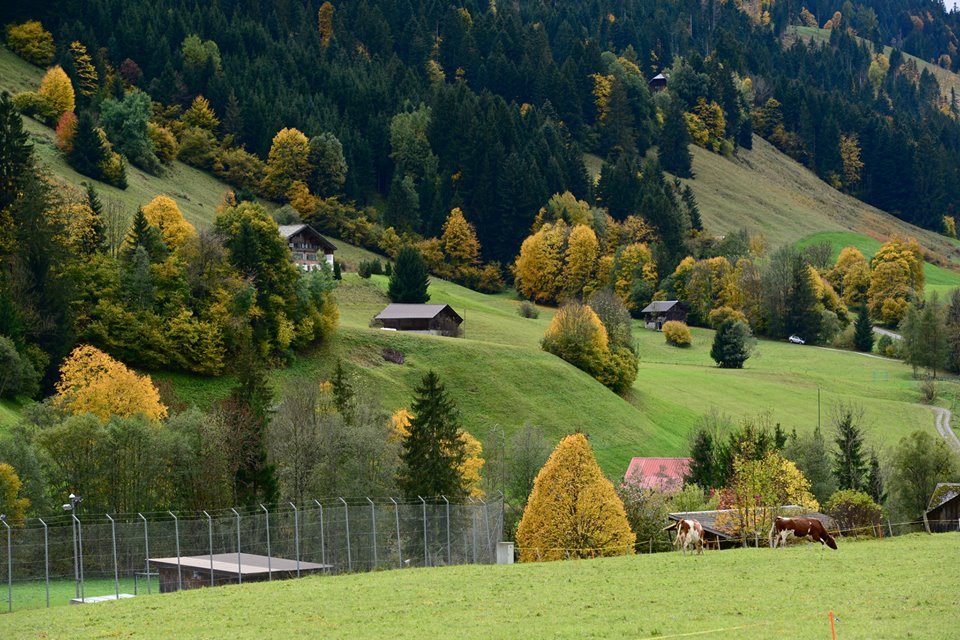 nwkzkkr5nlVjnEhS1lO-o