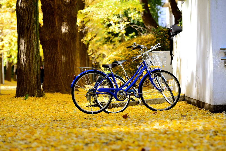 o01y2t31uIIE5Z2DJKy-o