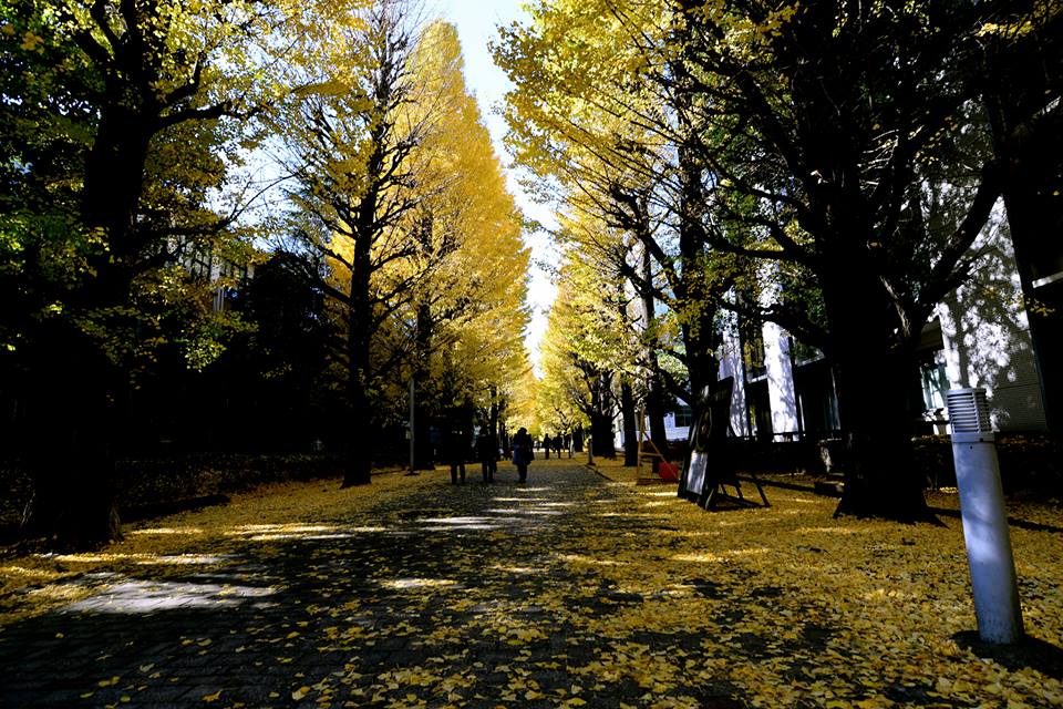 o01z1ldllHBipheEJ85-o