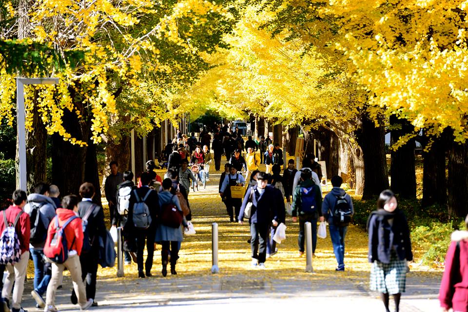 o0214k9rl9UEsd5OVt2-o