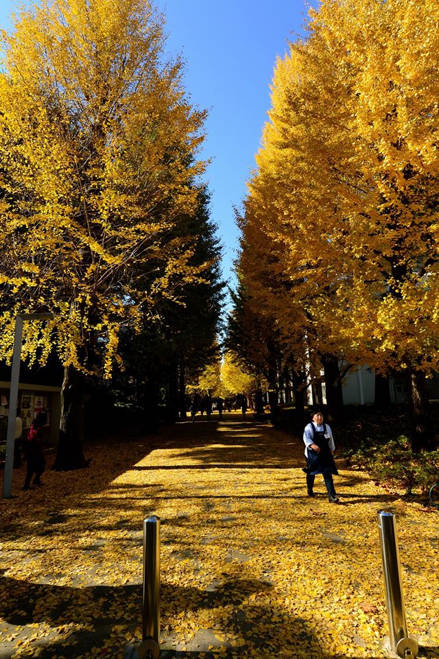 o022869iw2ADVsRGyG8-o