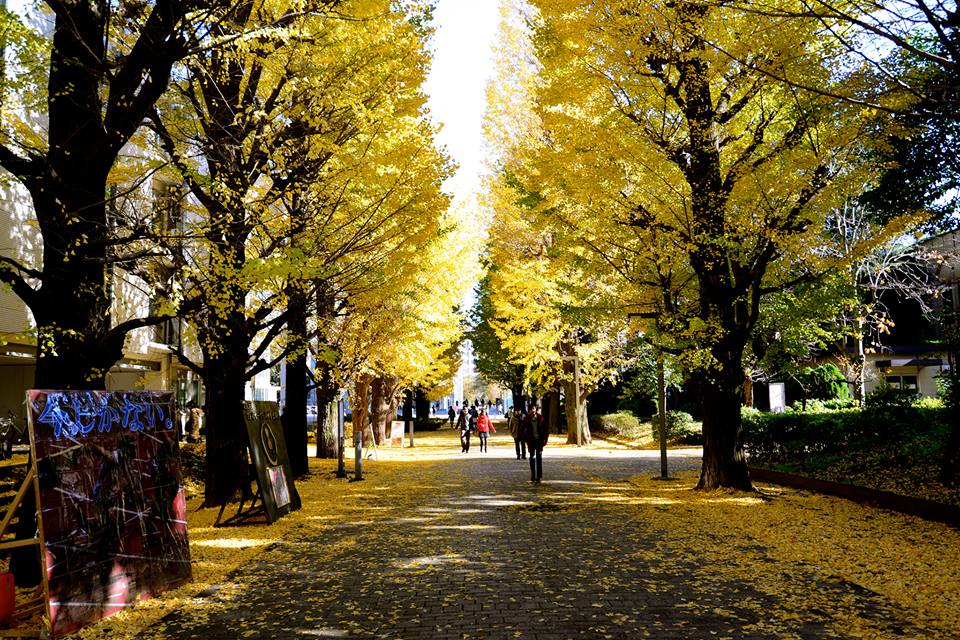 o0228nznjJXAeFqcCAn-o