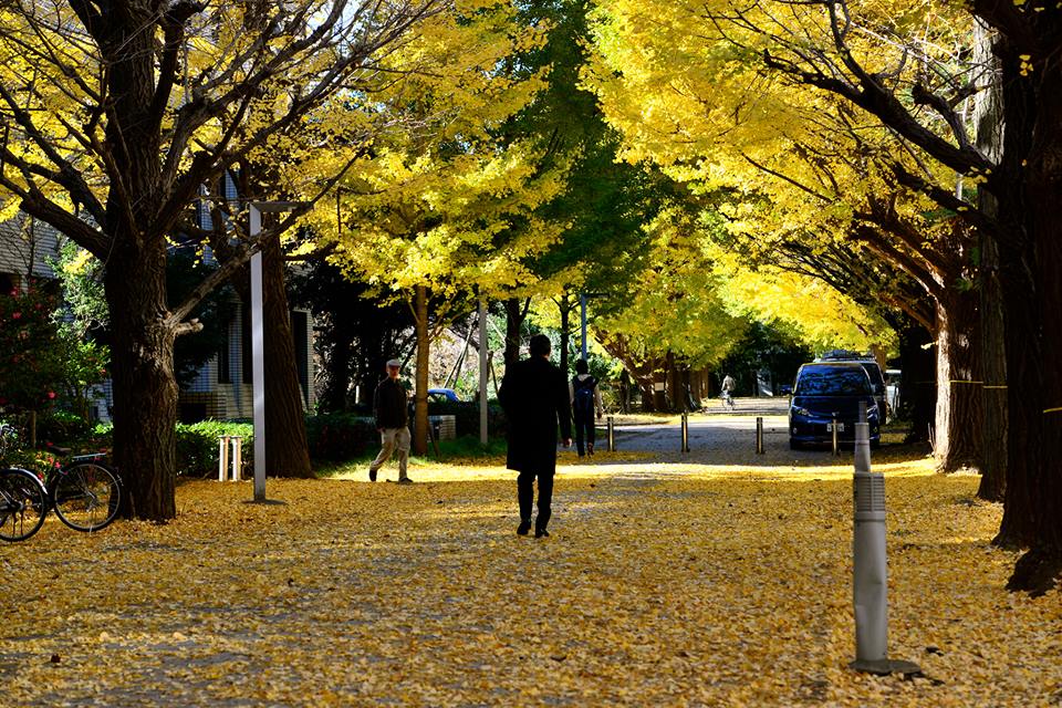 o02293o5lnXz24B0LDQ-o