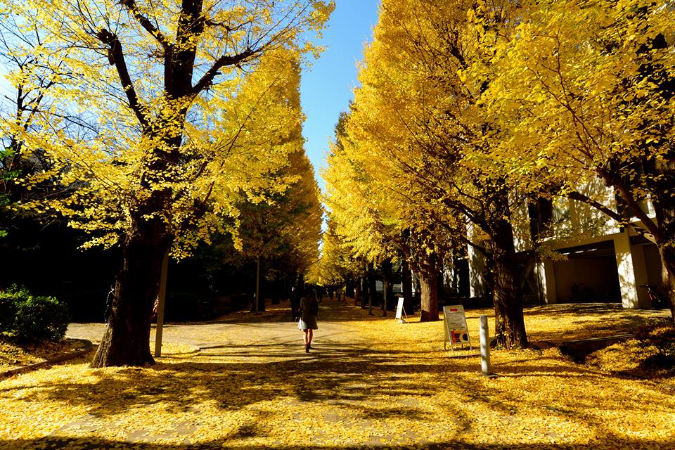 o022vq9inp5bhYXaKvp-o