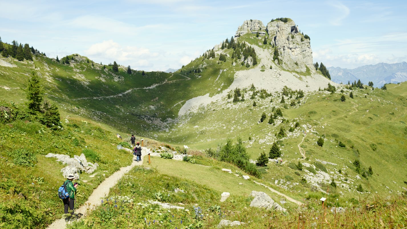 Schynige-Platte-Wandern-Oberberghorn