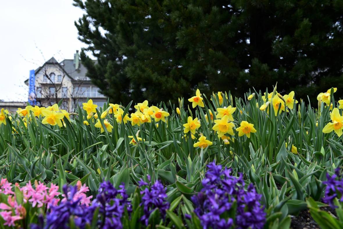 18489792_1790111714651152_6813127395612280446_o