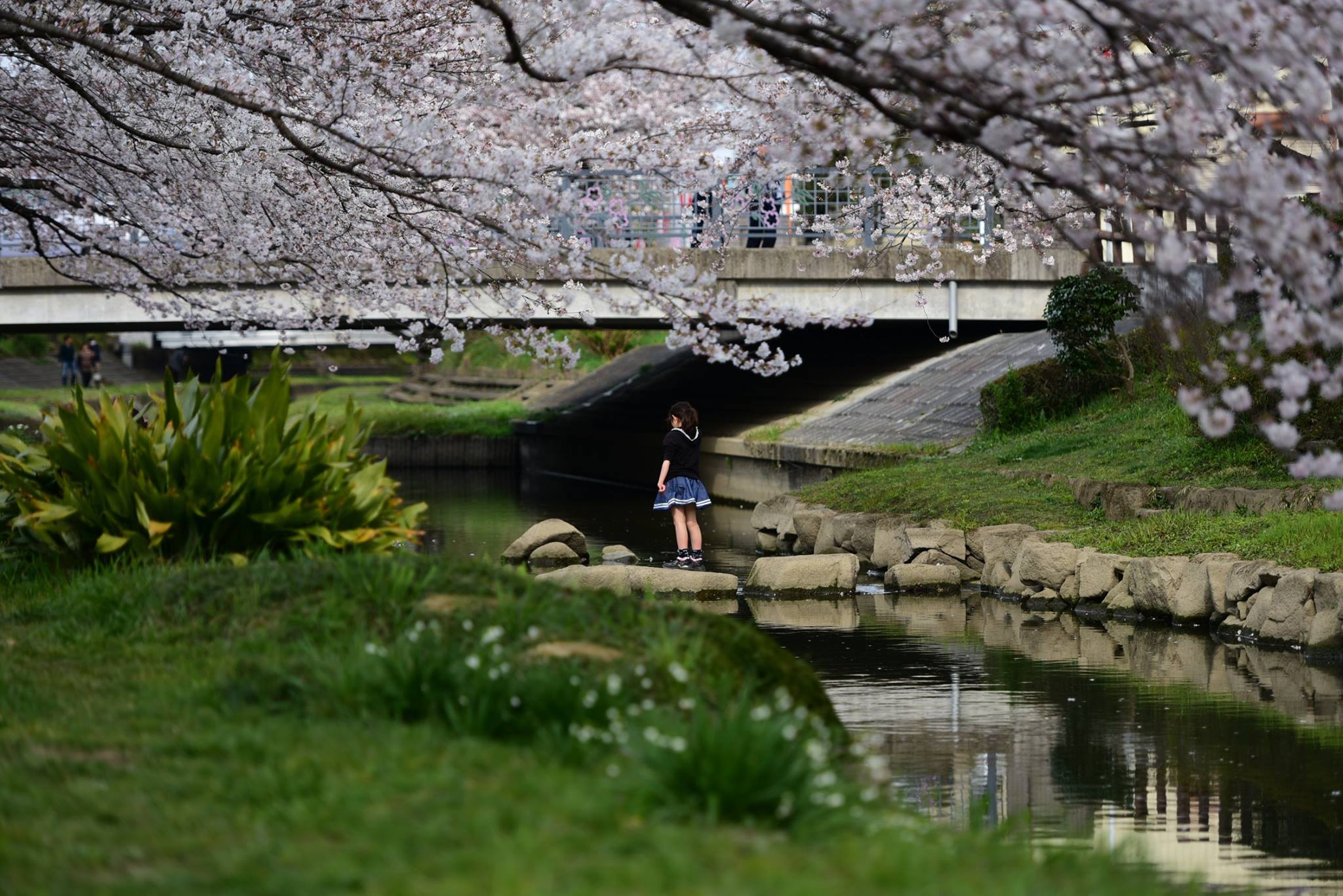 20449187_1833413813654275_7755534725522214451_o