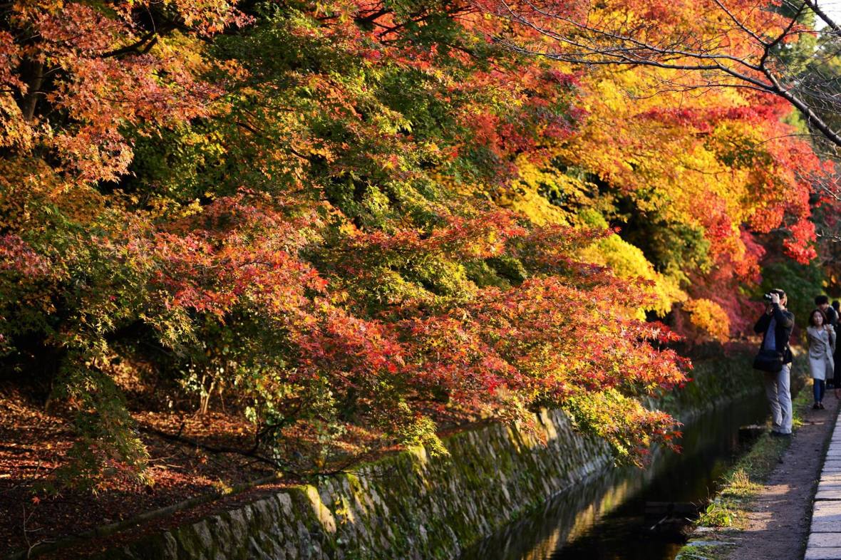 20449210_1833867320275591_4471903541208421781_o