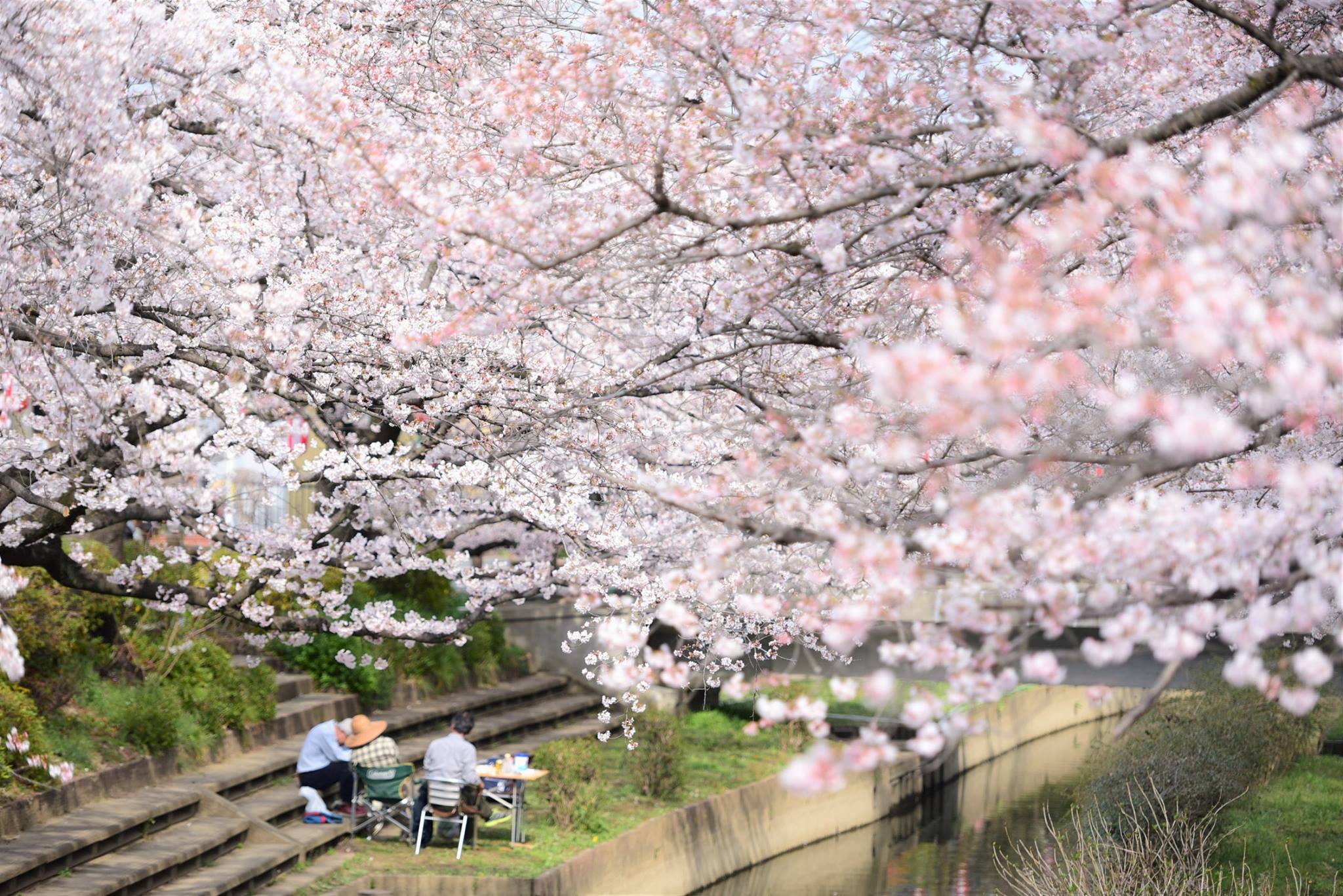 20449223_1833413603654296_963172921397719002_o