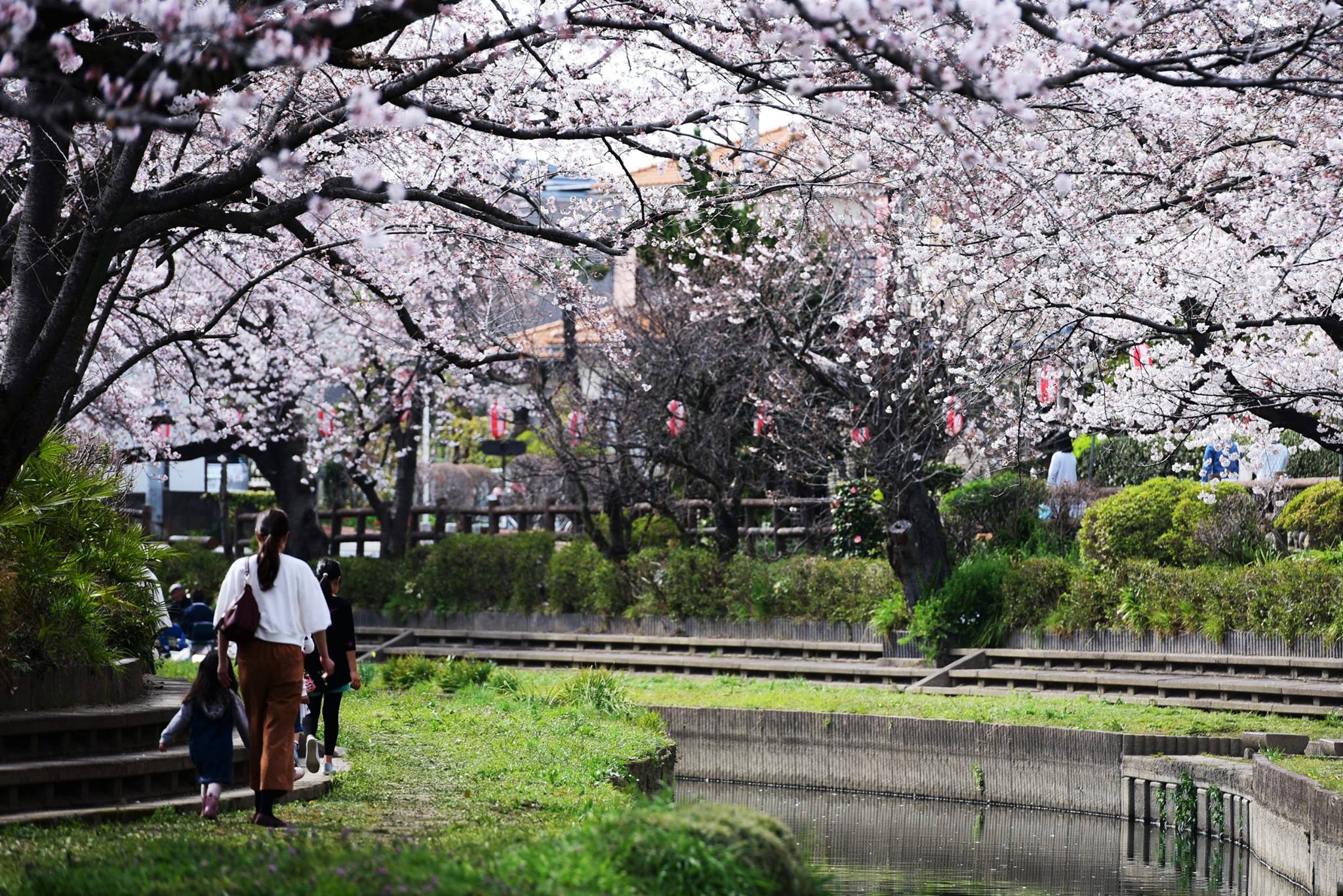 20451648_1833413446987645_6634391391324375874_o (1)