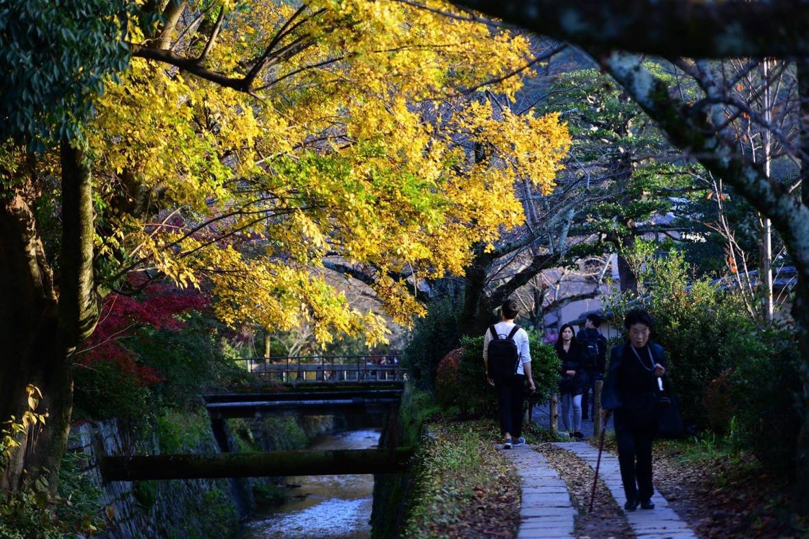 20451982_1833866870275636_1614740353672639320_o