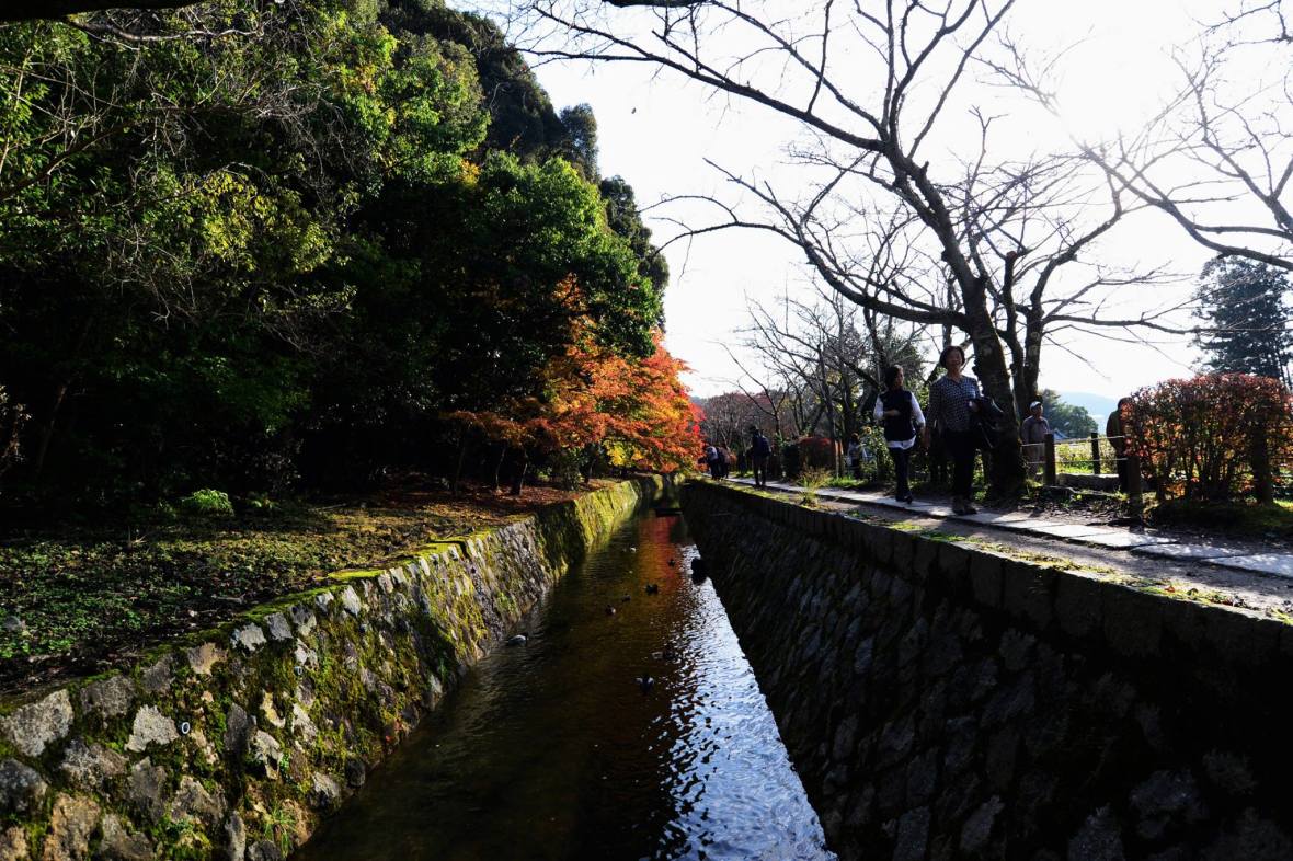 20506949_1833866393609017_9029362434920691434_o