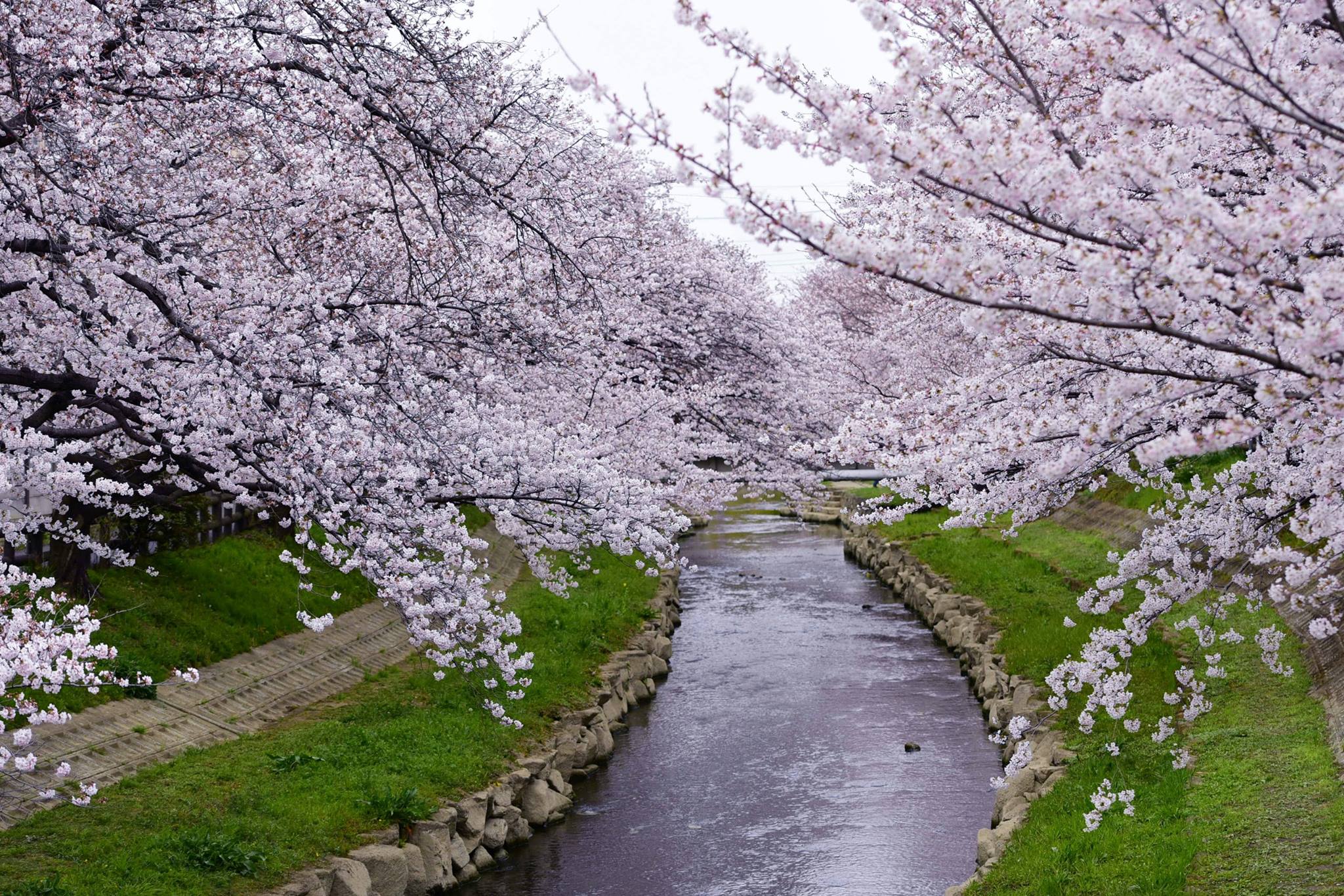 20507130_1833414133654243_1373016379677629146_o