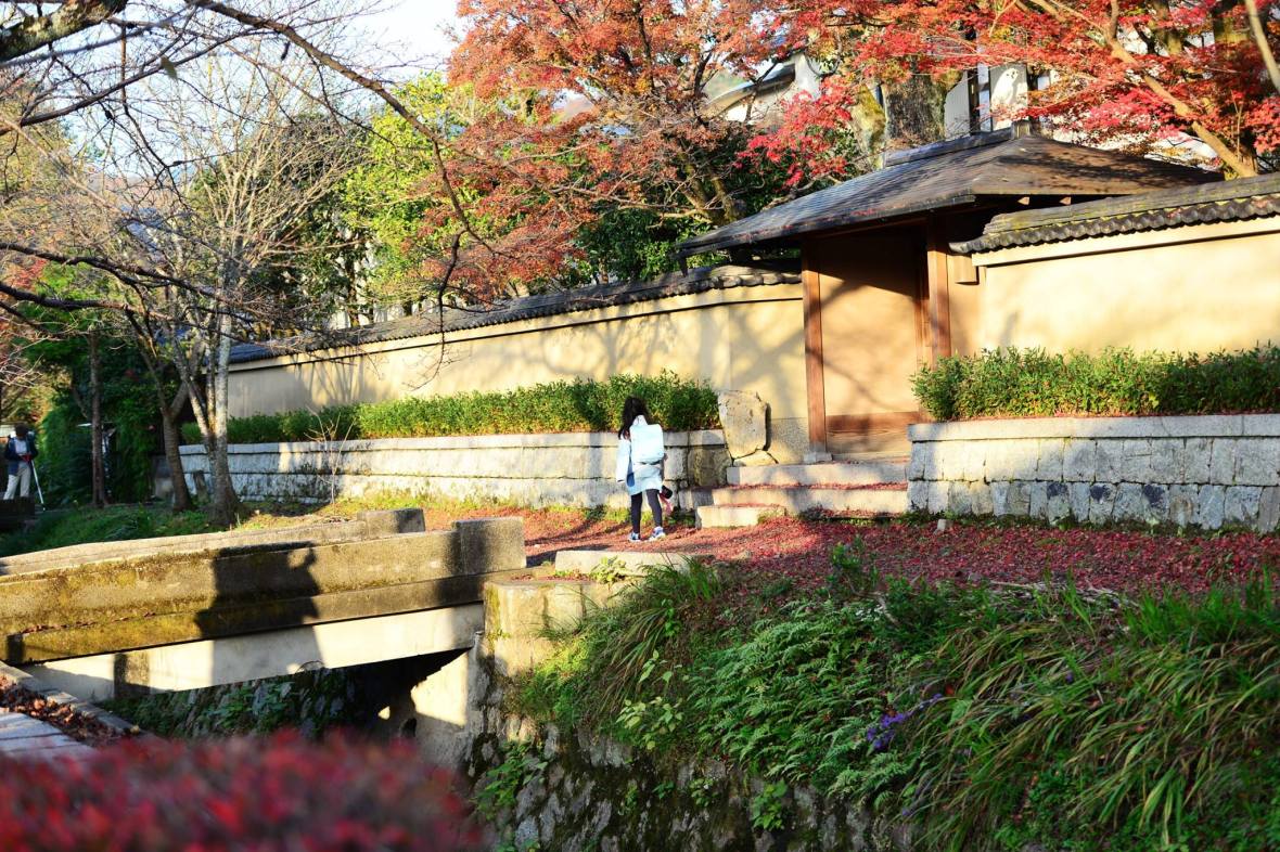 20507334_1833867600275563_4981629011778013870_o