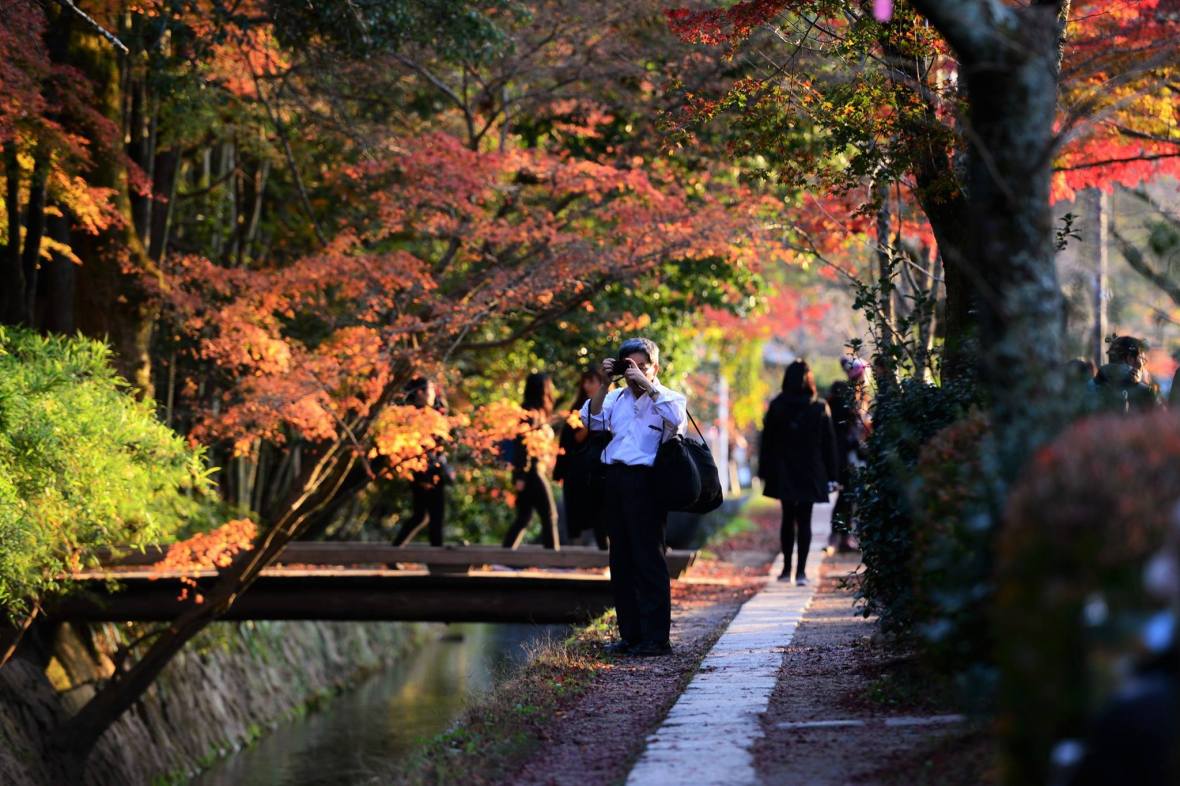 20507385_1833867380275585_1444917392293227111_o