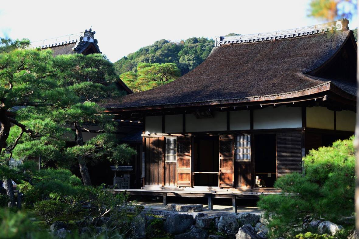 20507771_1833866593608997_6119842872291076499_o