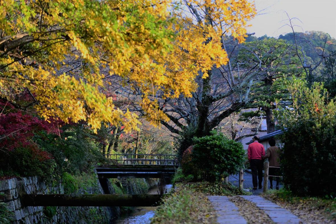 20507784_1833867020275621_7511966254020830573_o